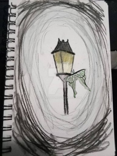 Not an original Luna moth Charcoal/map pencil