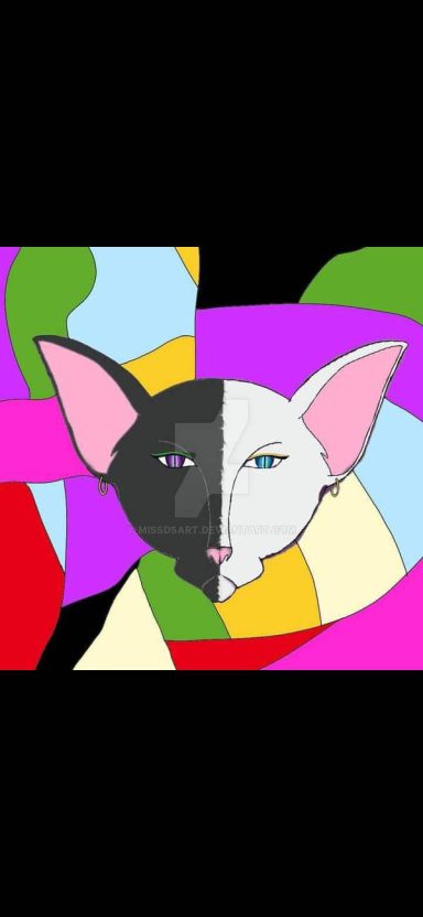 Cat digital painting