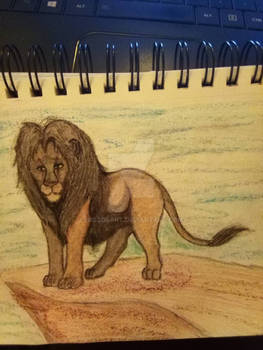 Lion Map pencil-pastel