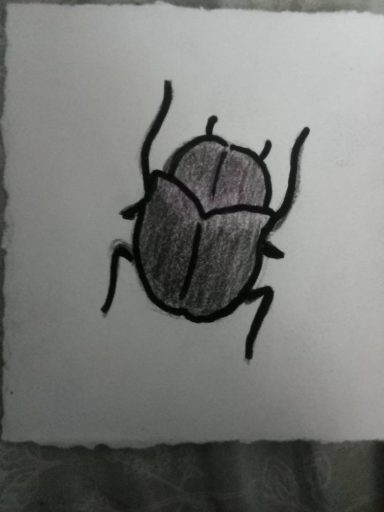 Beetle charcoal